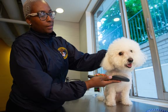 a police officer holding a white dog on a table