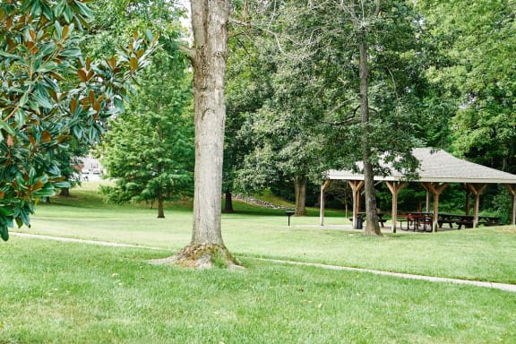 BBQ Area and Picnic Gazebo