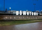 Thumbnail 7 of 9 - a sign with the words downtown silver spring in front of a building