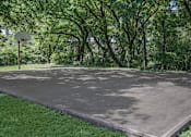 Thumbnail 7 of 42 - a basketball court in a park with trees