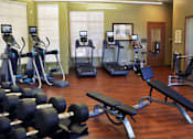 Thumbnail 15 of 17 - Fully-Equipped Gym at Aurora Co Apartments