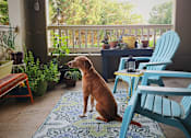 Thumbnail 17 of 26 - Pet-Friendly Apartments at Stone Creek at Brookhaven in North Druid Hills 30329