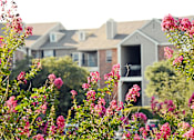 Thumbnail 7 of 21 - Well-maintained grounds and beautiful landscaping at Valley Ranch Apartments