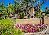 Thumbnail 21 of 26 - Apartments Near Chandler Fashion Mall with Beautiful Landscaping