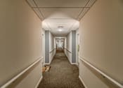 Thumbnail 22 of 56 - Hallway