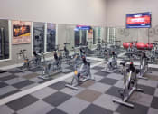 Thumbnail 39 of 49 - Gym at Skye at Arbor Lakes Apartments, Maple Grove, MN, 34105