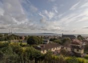Thumbnail 2 of 5 - an aerial view of a neighborhood with houses and trees and the ocean in the background
