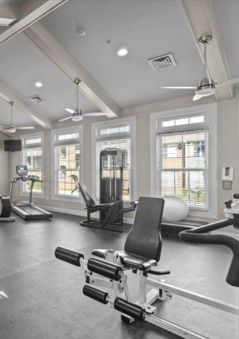 the gym is equipped with a variety of weights and cardio equipment
