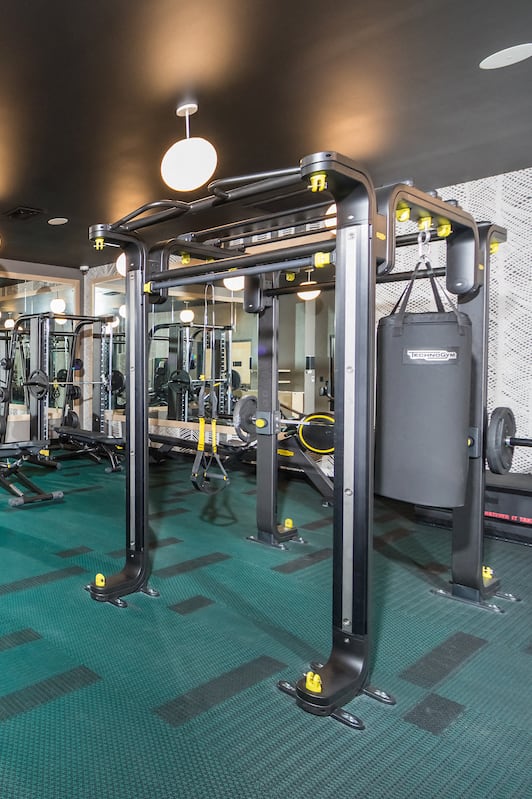 Fully equipped gym with weight machines, cardio machines, free weights, and punching bag