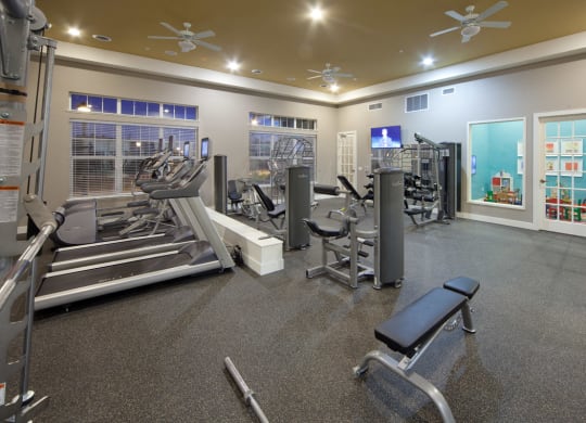 Fitness Center at Skye at Arbor Lakes Apartments in Maple Grove, MN