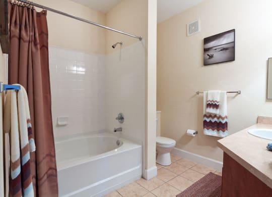 Bathroom at Cypress Pointe Apartments in Orange Park, FL