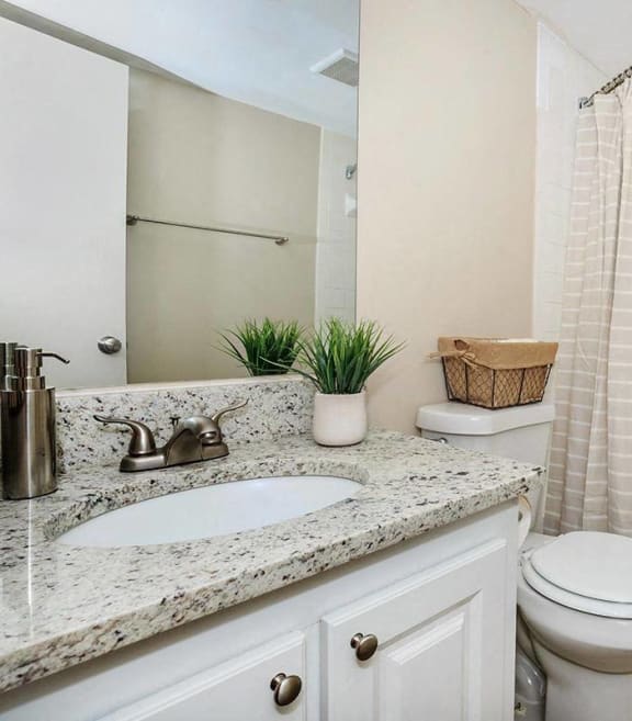 a bathroom with a sink toilet and a shower