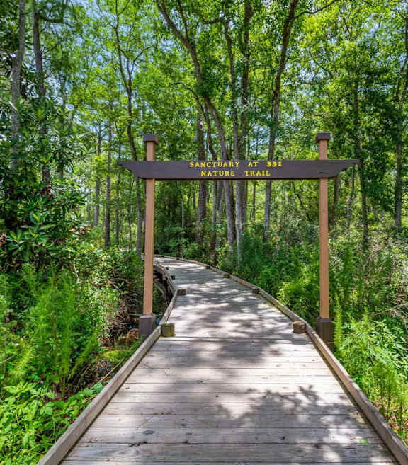A wooden walkway leads to a sanctuary.
