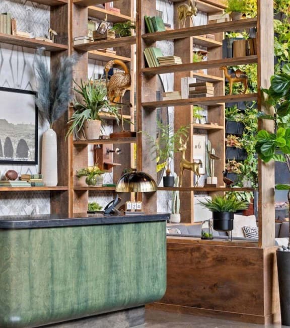 a bath tub in a room with shelves and plants