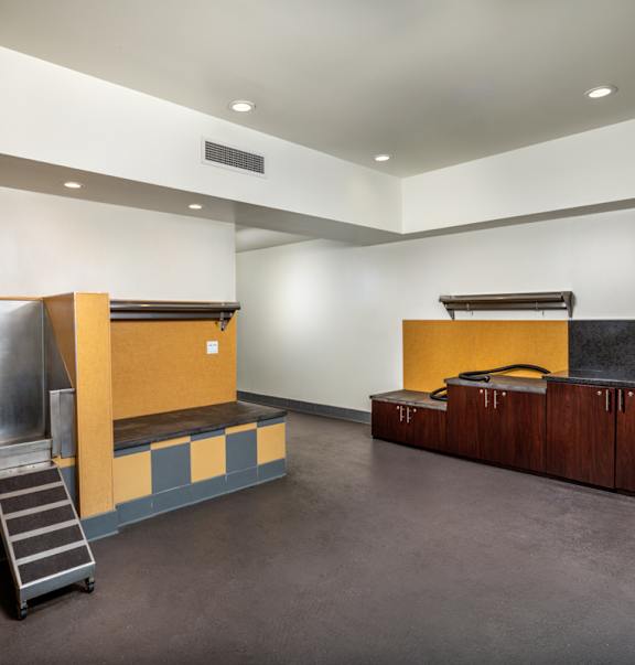 A large, empty room with a sink and a staircase.