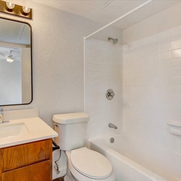 a bathroom with a sink toilet and a mirror