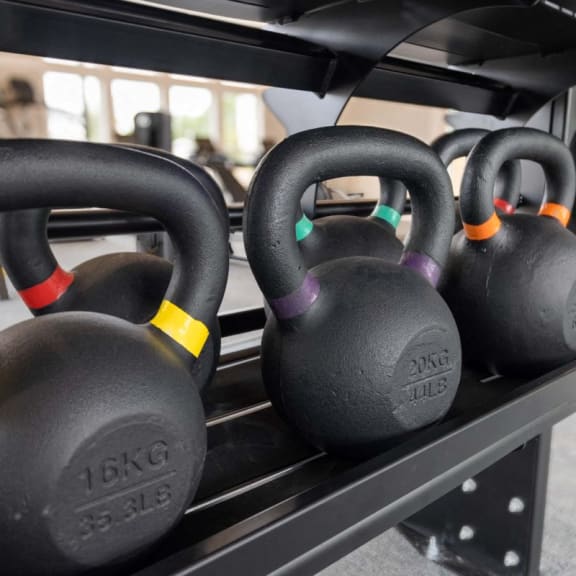 a row of dumbbells on a rack in a gym