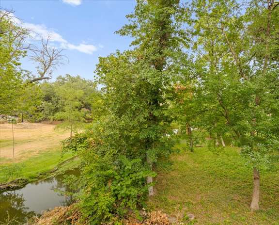 a large tree in a grassy area next to a body of water