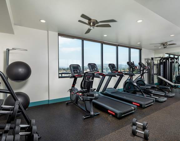 A gym with treadmills, weights, and exercise equipment.