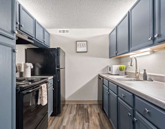 a kitchen with blue cabinets and a black stove and refrigerator