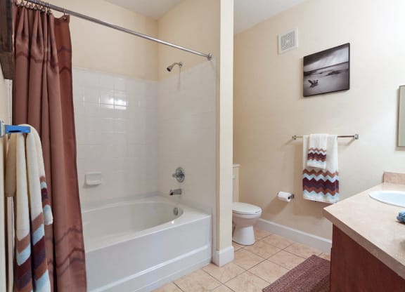 Bathroom at Cypress Pointe Apartments in Orange Park, FL