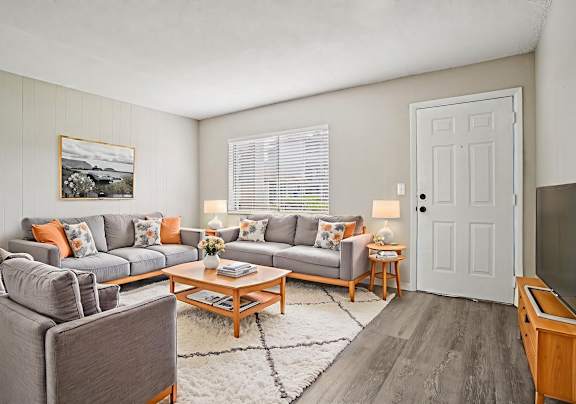 A living room with a grey sofa, a coffee table, and a television.