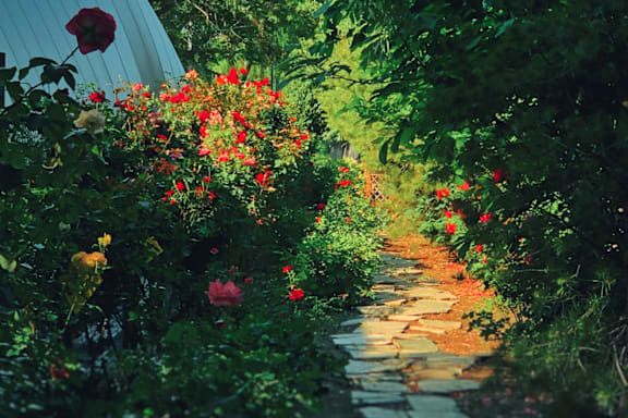 A pathway is lined with red flowers and greeneryat River Oak Apartments, Louisville, KY, 40206