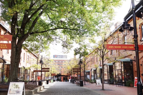 a city street with a tree in the middle of it