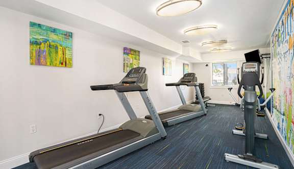 A gym with treadmills, elliptical machines and a wall with paintings.