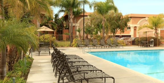 a swimming pool with chaise lounges and palm trees