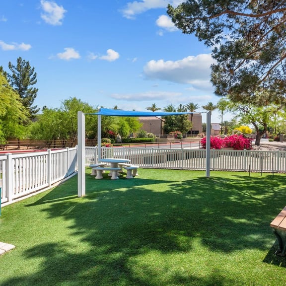 our apartments showcase a dog park with plenty of room to run