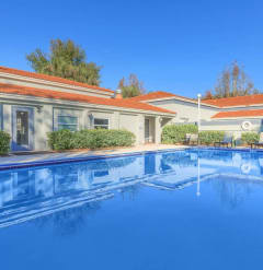 A large swimming pool in front of a building with a red roof at Oak Chase I, Tampa, FL