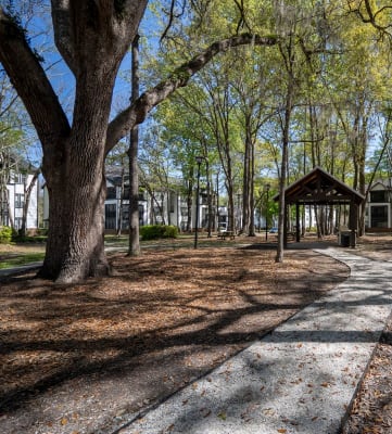 Courtyard with picnic area at Westbury Mews Apartments in Summerville SC 29485
