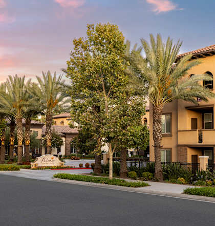 A street view of a residential area with palm trees and houses.