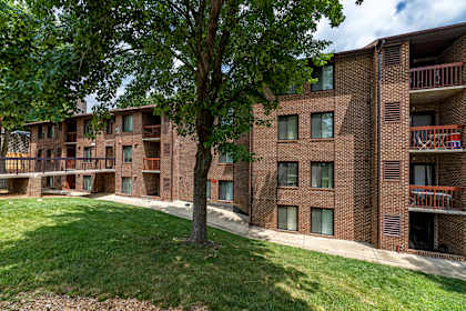 our apartments are located in a quiet area with a tree