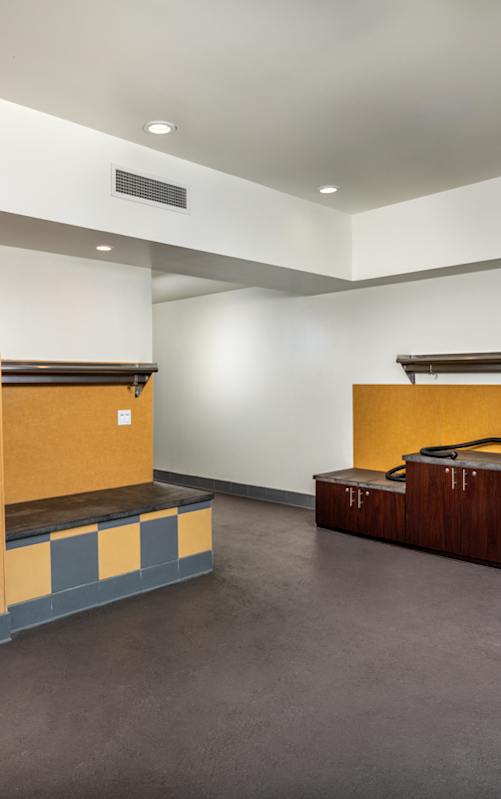 A large, empty room with a sink and a staircase.