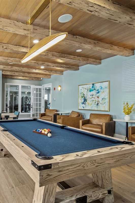 Billiards Table at Cypress River, South Carolina, 29456