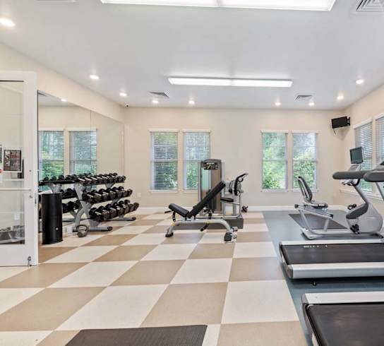 A gym with treadmills, elliptical machines, and dumbbells.