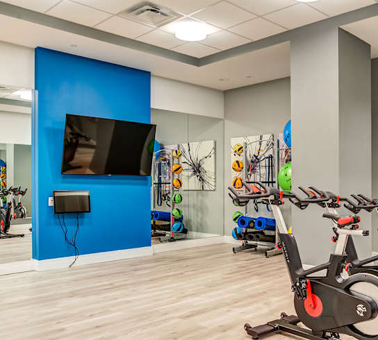 Pelton Bikes at Allure Apollo, Camp Springs Maryland