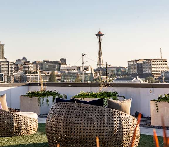 a view of the skyline from a roof terrace with chairs and plants