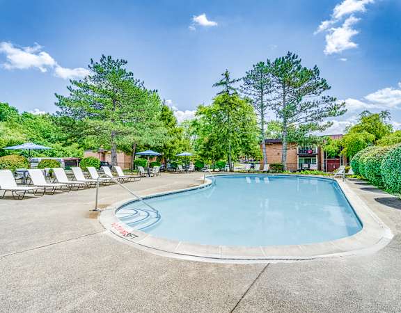 A large outdoor swimming pool surrounded by trees and lounge chairs.