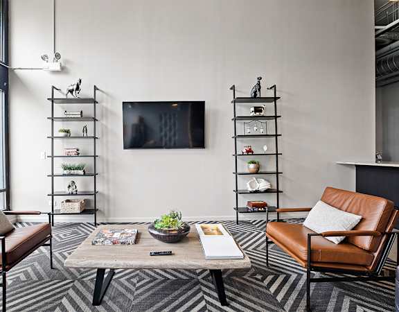 Tv and couch in living at The Shelby, Chicago, 60616