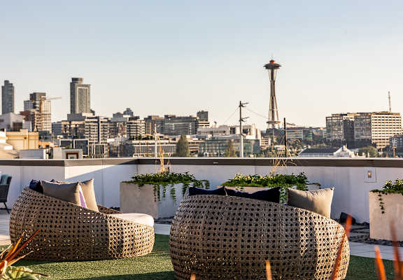 a view of the skyline from a roof terrace with chairs and plants