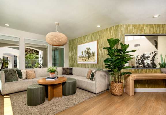 A living room with a couch, coffee table, and potted plants.