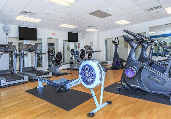 A gym with a row of treadmills and elliptical machines.