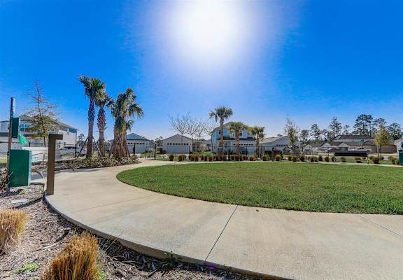 Paved path at Treeline Trails curving around a grassy area with palm trees, houses, and a bright blue sky.