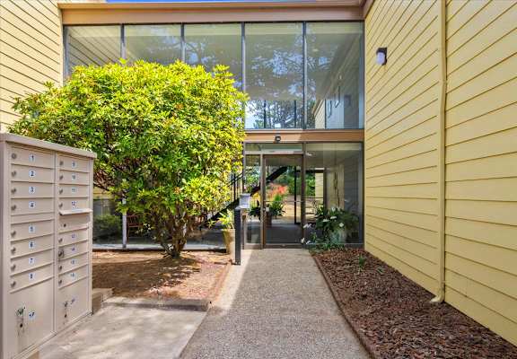 A yellow building with a tree in front of it.