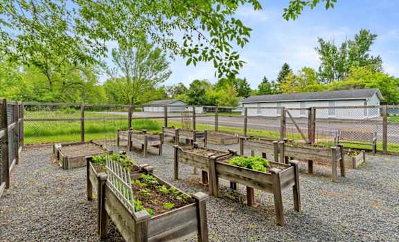 A garden with wooden planters and gravel ground.
