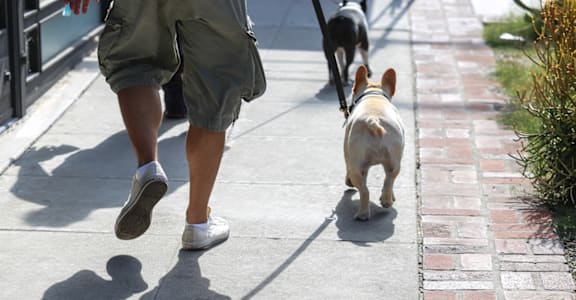a man walking his dog down a sidewalk