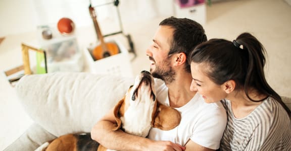 pets safe Community at Summit Terrace, South Portland, ME, 04106